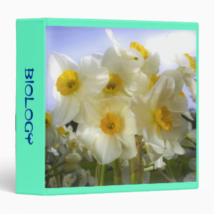 Classeur Daffodiles rêvés au soleil
