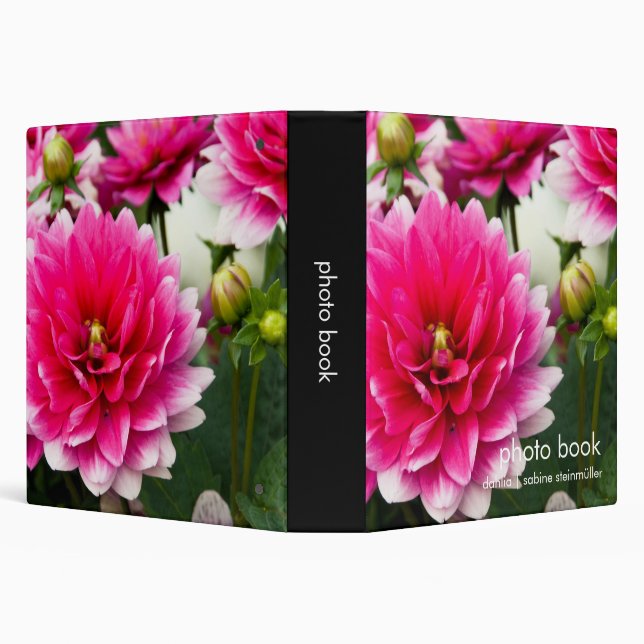 Classeur Dahlia rose et blanc (Arrière-plan)