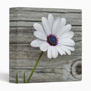 Classeur Daisy du pays