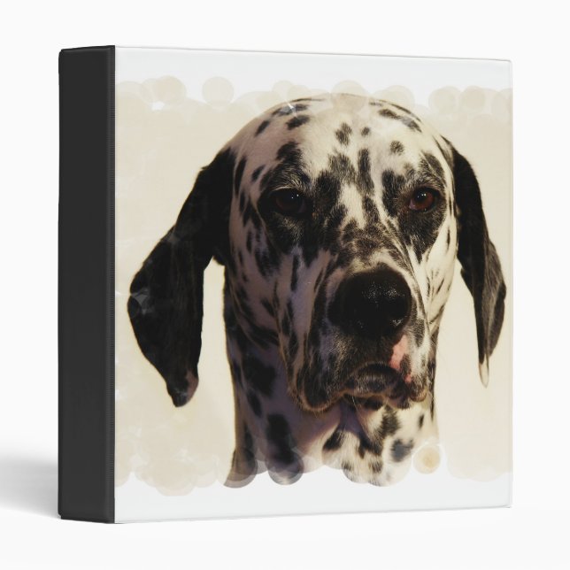 Classeur dalmatien de chien (Devant/Côté)