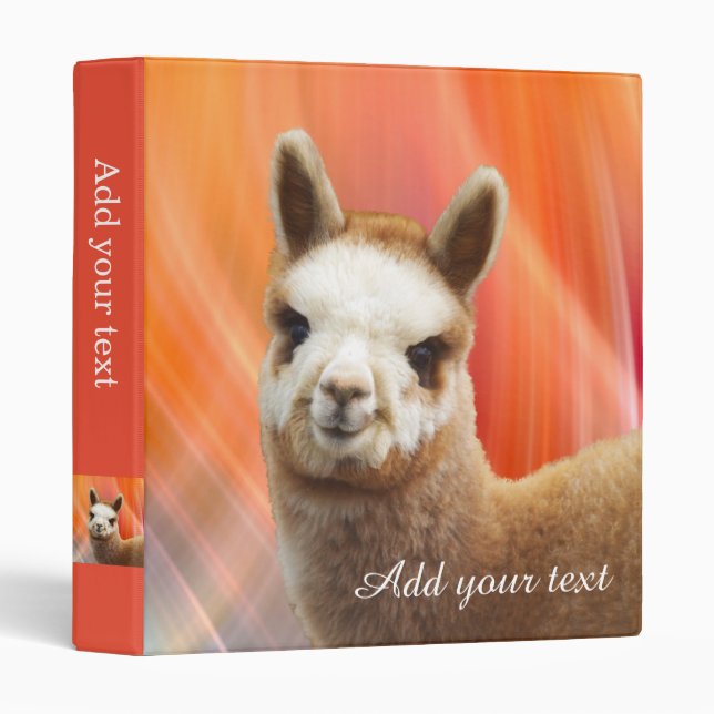 Classeur d'alpaga (Devant/Côté)