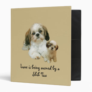 Classeur d'amis de Shih Tzu