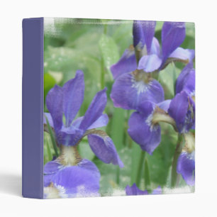 Classeur d'ampoules d'iris