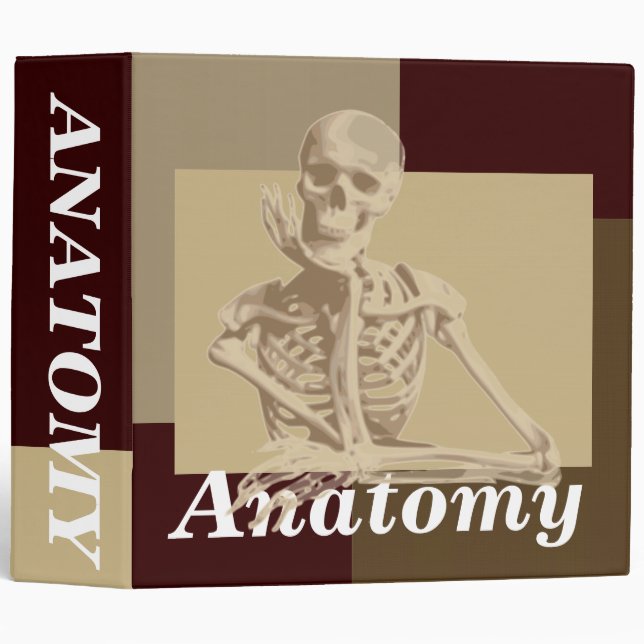 Classeur d'Anatomy Skeleton (Devant/Côté)