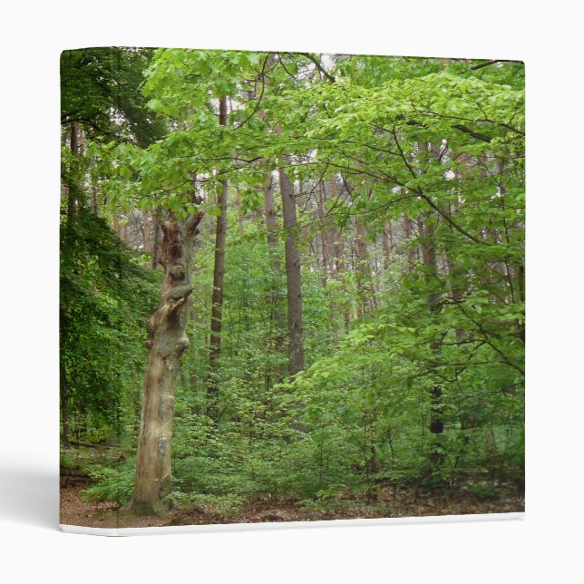 Classeur Dans le Forrest (Devant/Côté)
