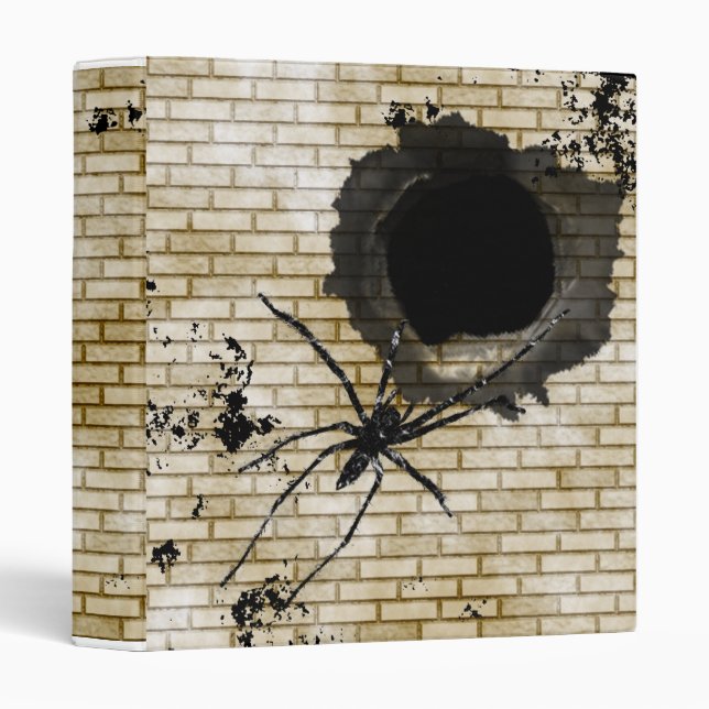 Classeur d'araignée (Devant/Côté)