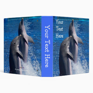Classeur dauphins