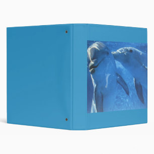 Classeur Dauphins de natation