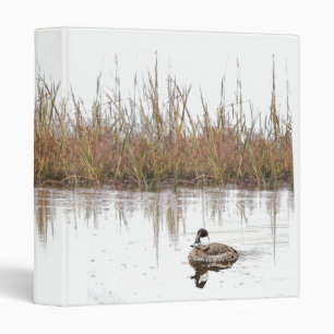 Classeur d'Avery de canards vermeils d'habitat de