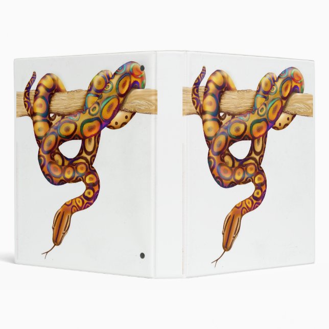 Classeur d'Avery de serpent de boa d'arc-en-ciel (Arrière-plan)