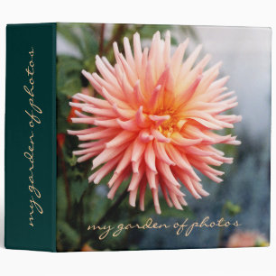 Classeur Dazzling Flower