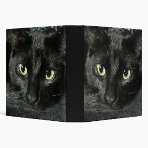 classeur de 1 1/2 "avec le chat noir somnolent