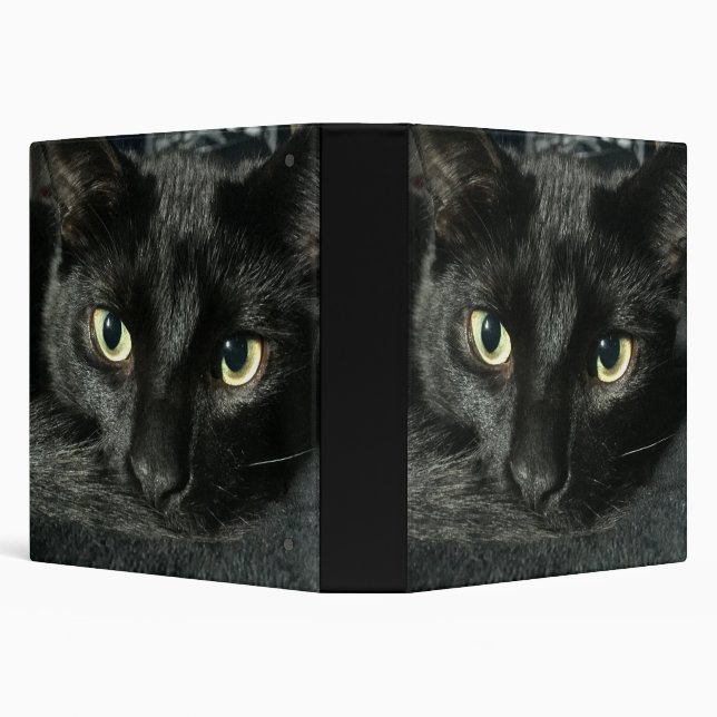 classeur de 1 1/2 "avec le chat noir somnolent (Arrière-plan)