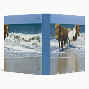 Classeur de bain de cheval