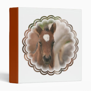 Classeur de bébé de cheval