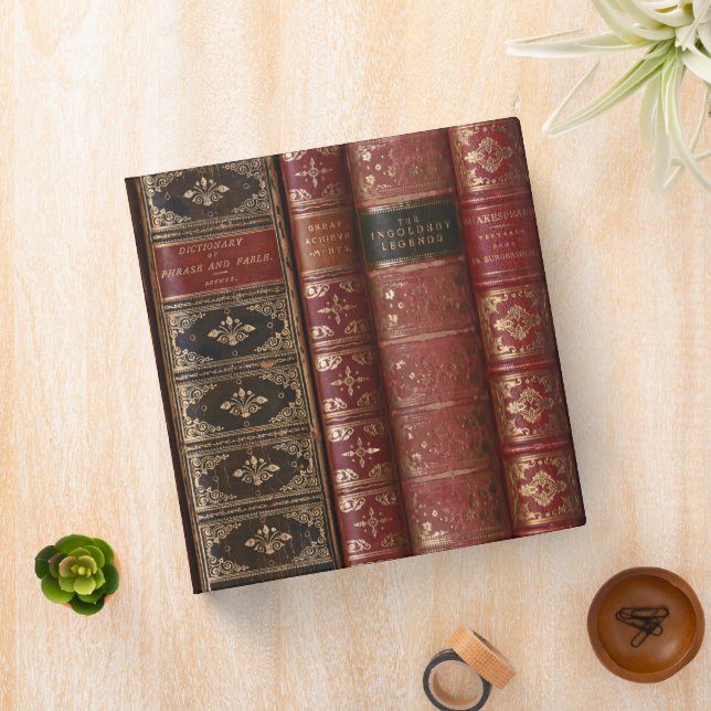 Classeur de bibliothèque de livres très anciens (In Situ)