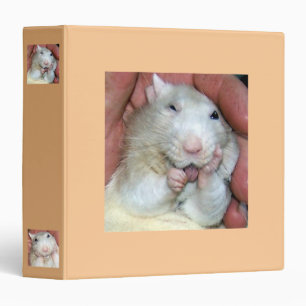 Classeur de Bridget de rat d'animal familier
