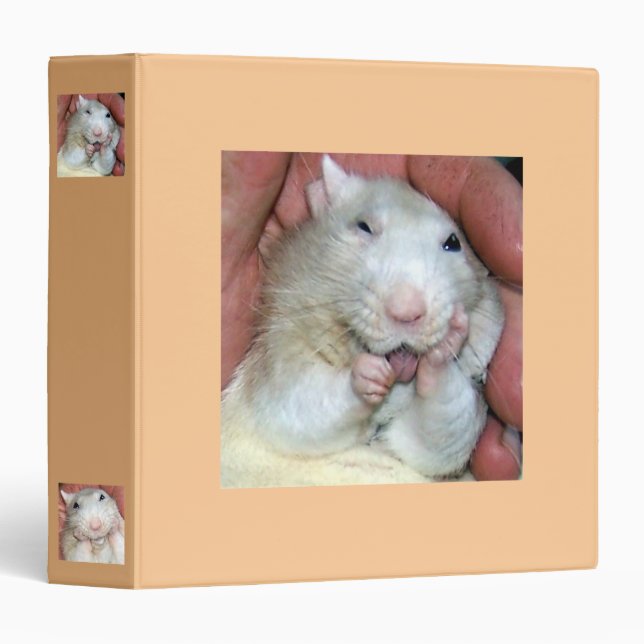 Classeur de Bridget de rat d'animal familier (Devant/Côté)