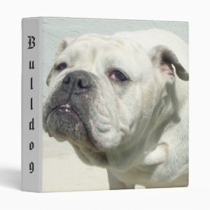 Classeur de bulldog blanc