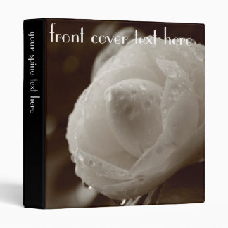 Classeur de camélia