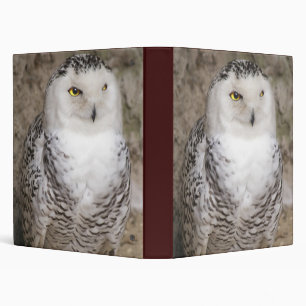 Classeur de carnet de hibou de Milou