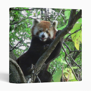 Classeur de carnet de panda rouge