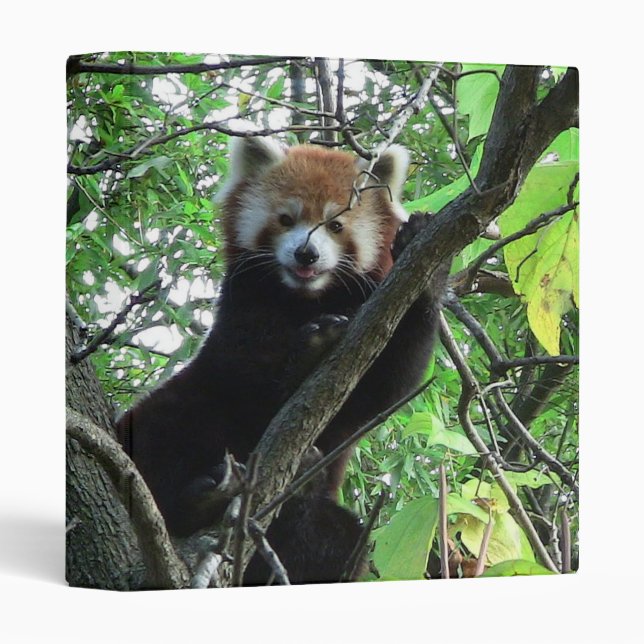 Classeur de carnet de panda rouge (Devant/Côté)