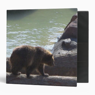 Classeur de carnet d'ours gris