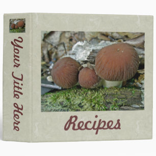 Classeur de champignons Rufus