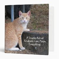 Classeur de chat de tabby orange
