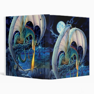 Classeur de chaussée de dragon