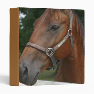 Classeur de cheval de châtaigne douce