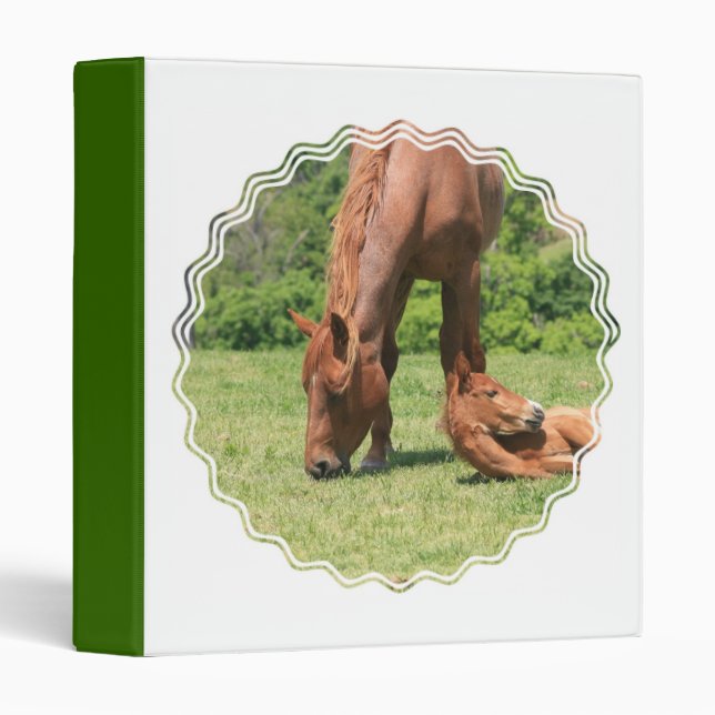 Classeur de cheval de jument et de colt (Devant/Côté)