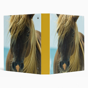 Classeur de cheval de mustang