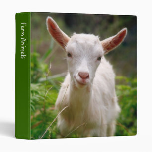 Classeur de chèvre d'enfant