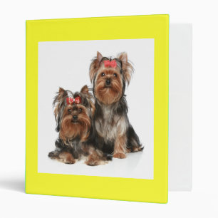Classeur de Chien de Chien de Chien de Chien De Ch