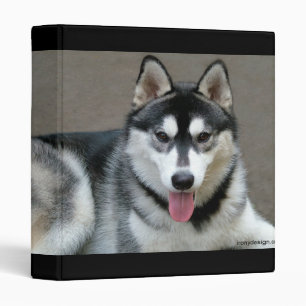 Classeur de chien de Malamute d'Alaska