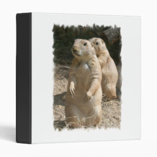 Classeur de chien de prairie