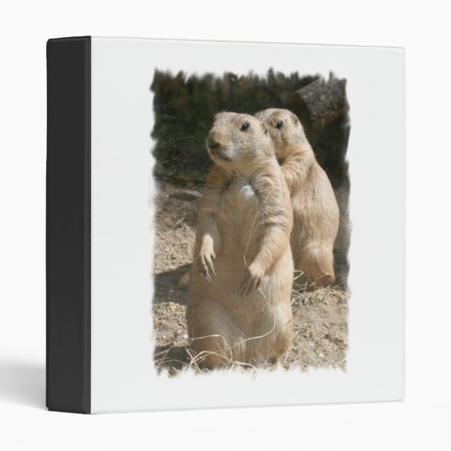 Classeur de chien de prairie (Devant/Côté)