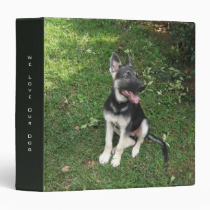 Classeur de chiot de berger allemand