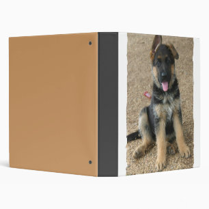 Classeur de chiot de berger allemand