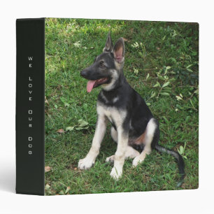 Classeur de chiot de berger allemand