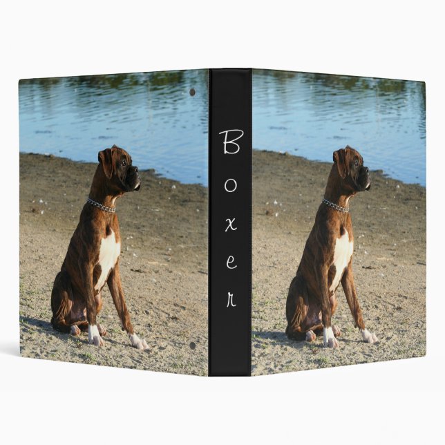 Classeur de chiot de boxe Brindle (Arrière-plan)