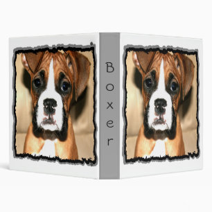 Classeur de chiot de boxeur