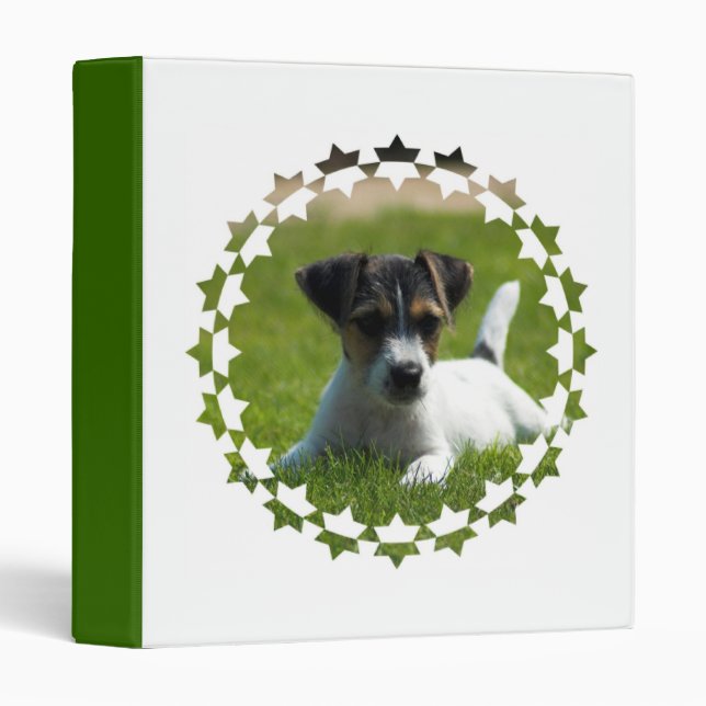 Classeur de chiot de Jack Russell Terrier (Devant/Côté)