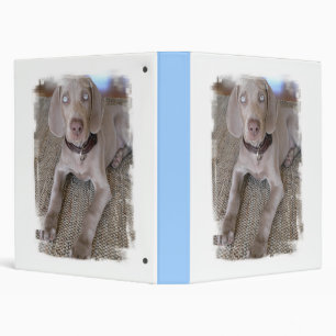 Classeur de chiot de Weimaraner