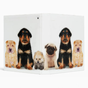 Classeur de chiots
