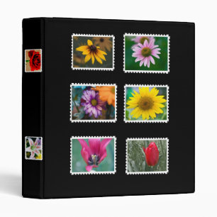 classeur de collection de timbre
