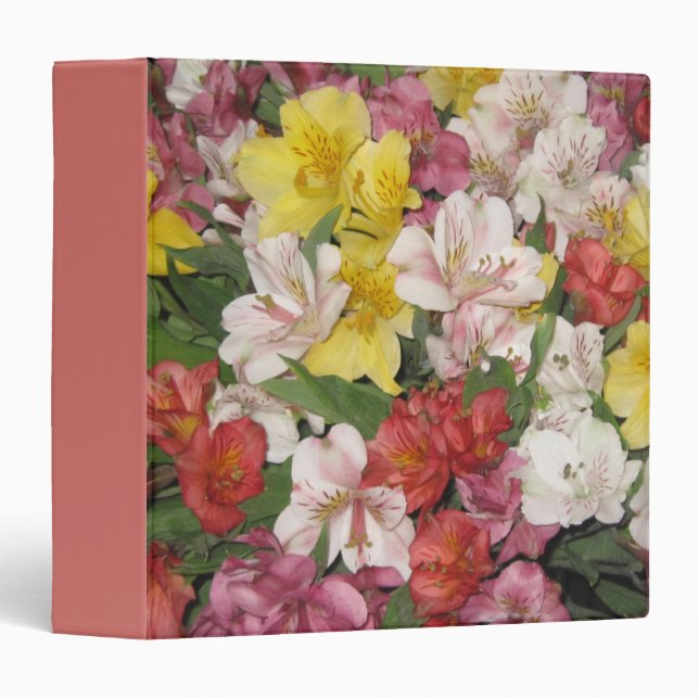 Classeur de design floral coloré (Devant/Côté)