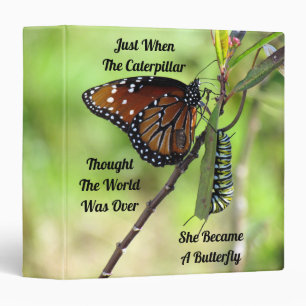 Classeur de devis de papillon inspirationnel